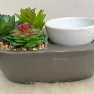 Succulent wax/candle warmer NIB